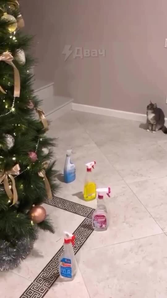 Новогодний лайфхак