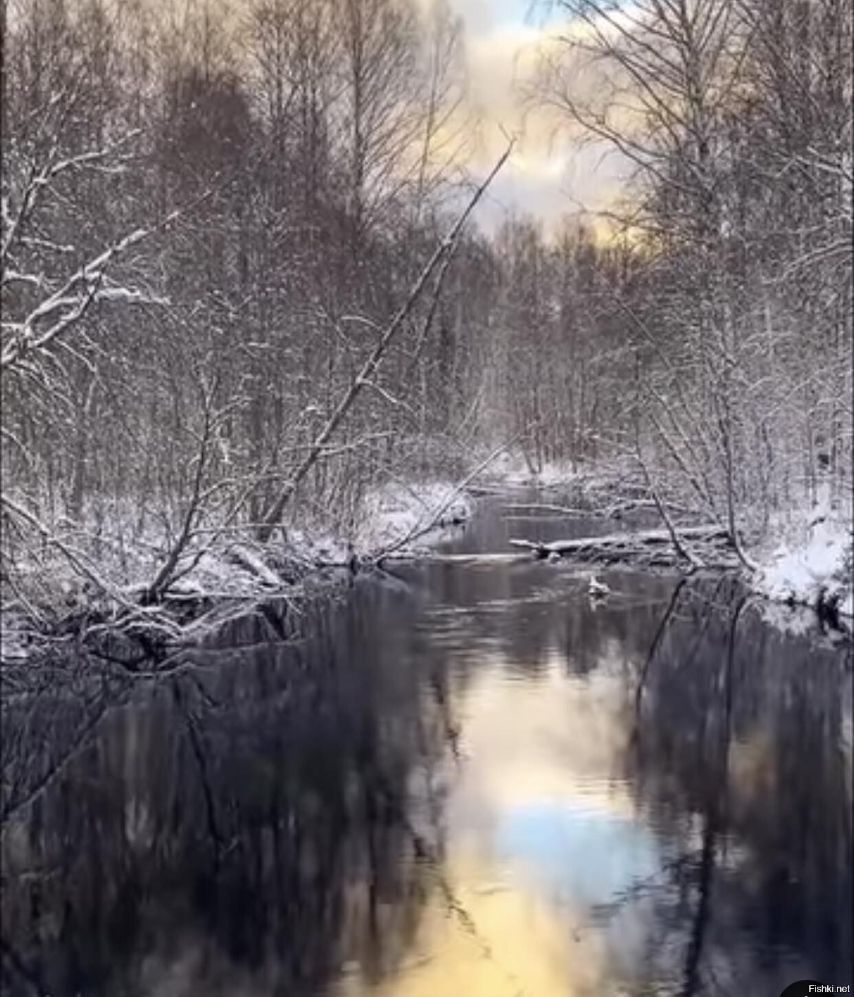 Солянка