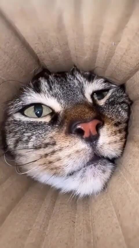 А чё это вы тут делаете