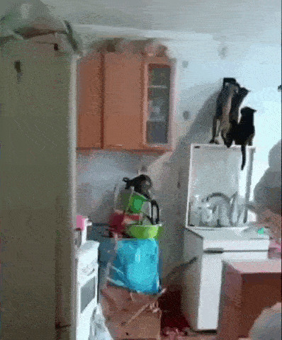 Солянка
