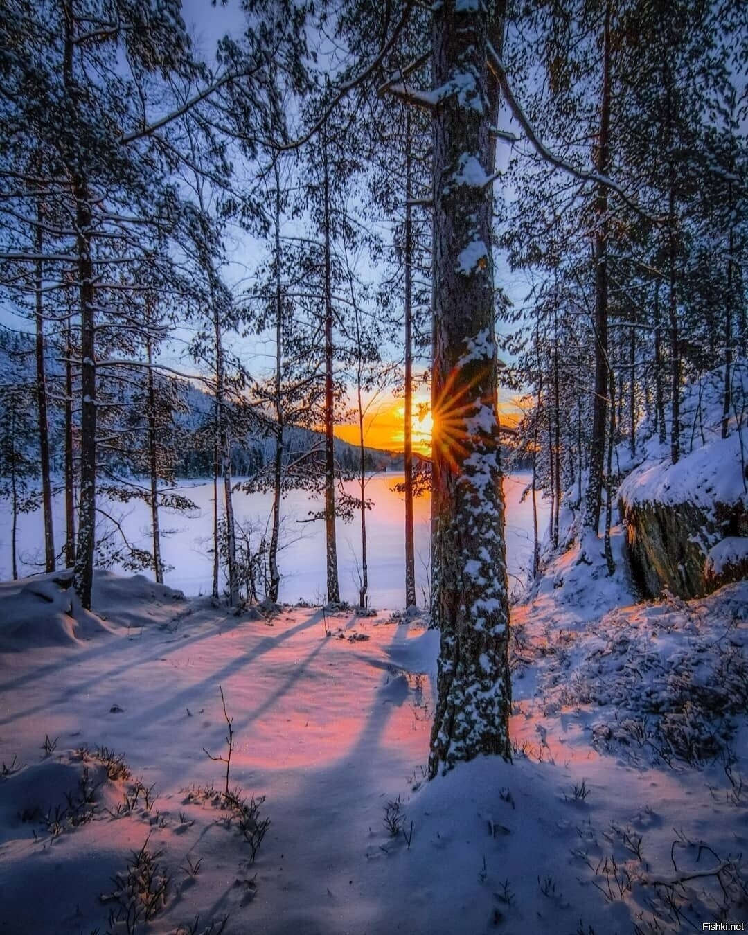 Солянка