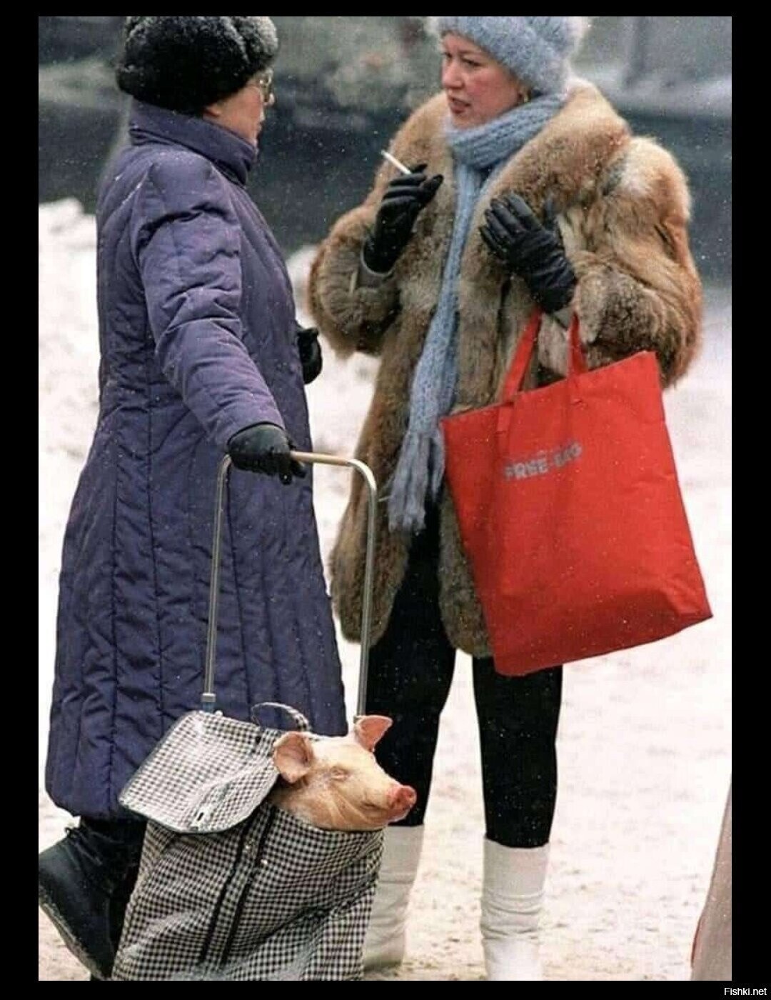Солянка
