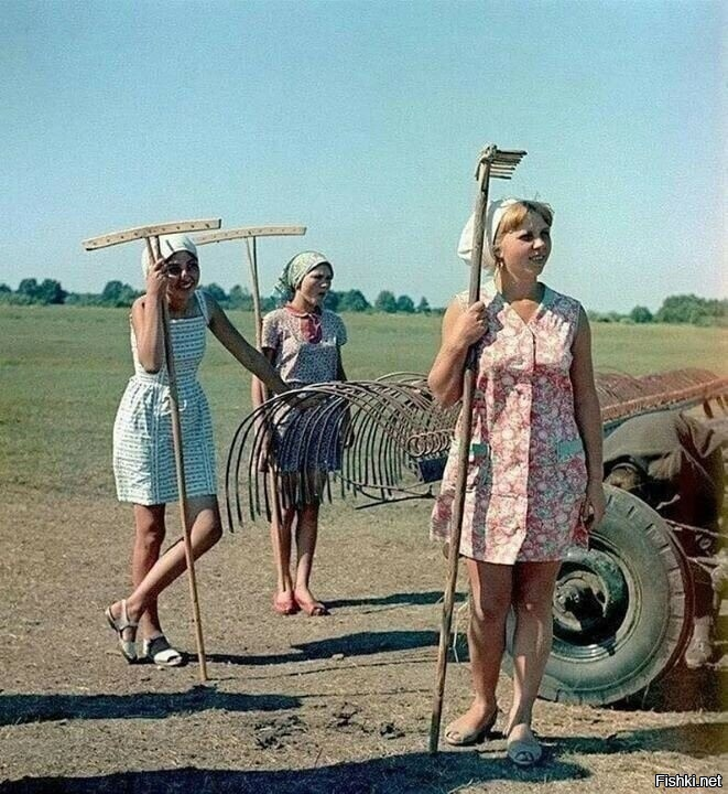 Солянка