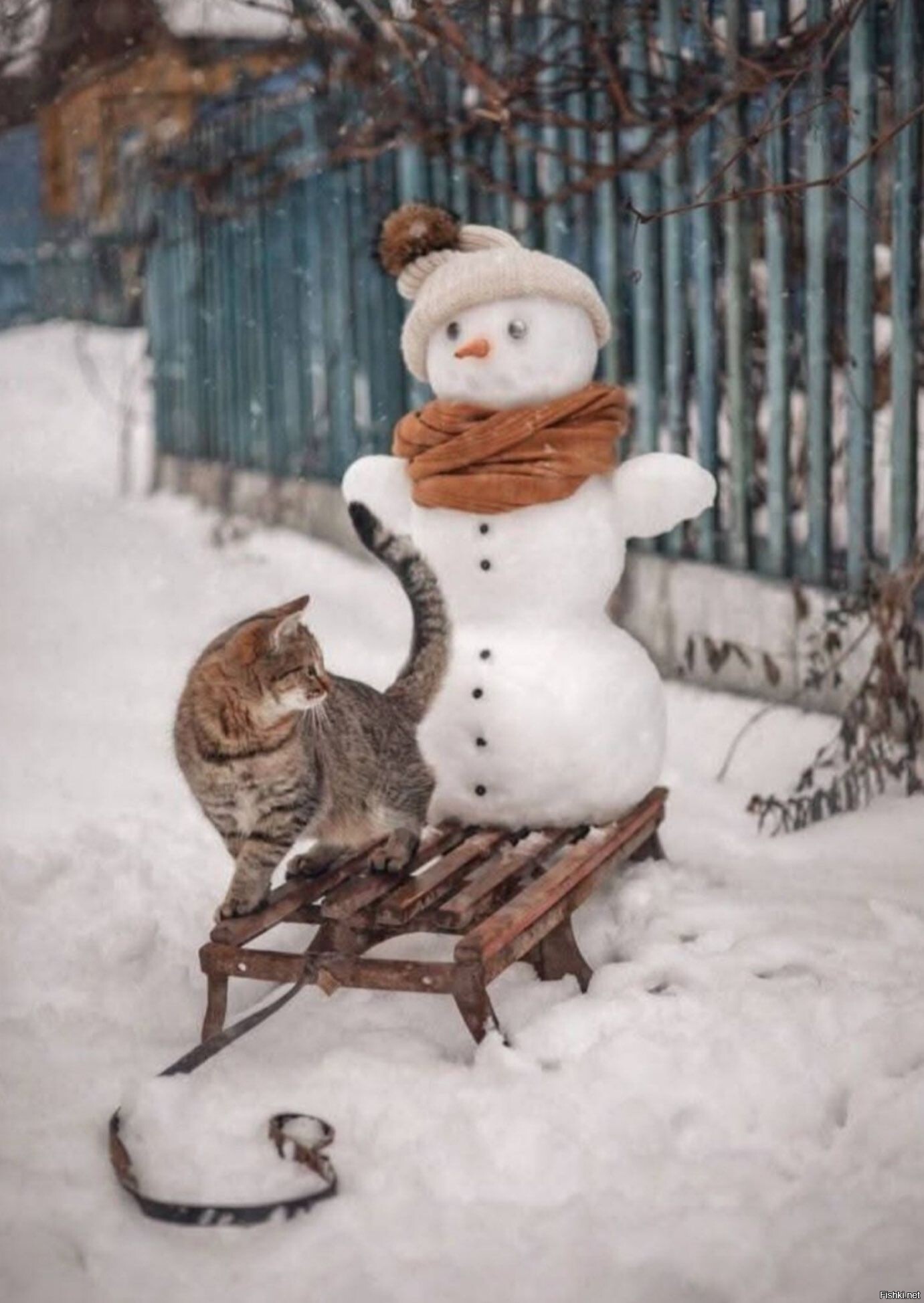 Солянка