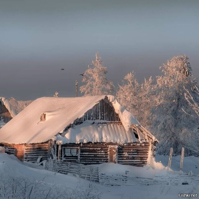 Солянка