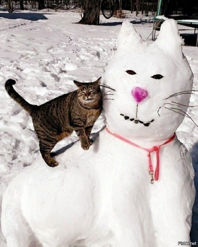 Похож)