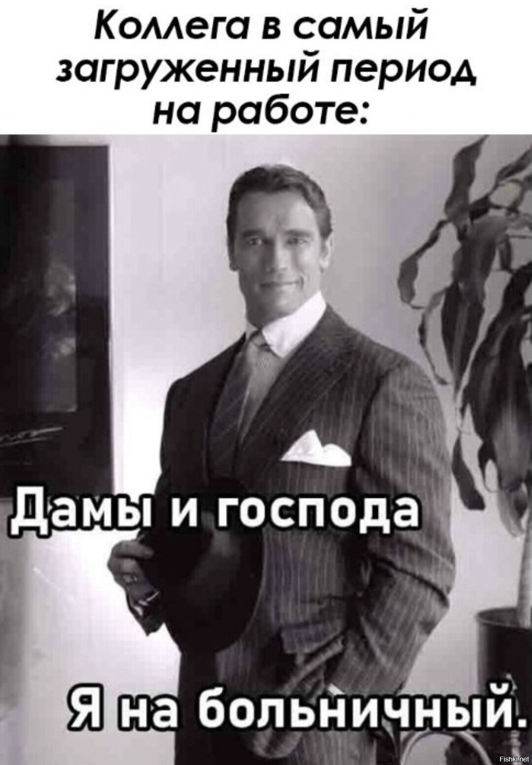 Солянка