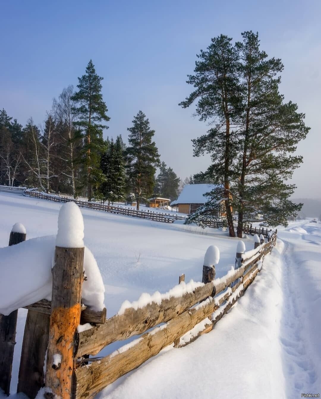 Солянка