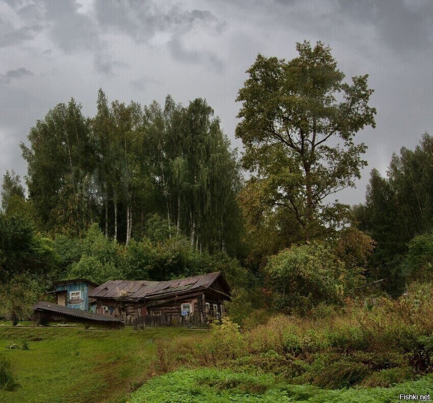 Солянка