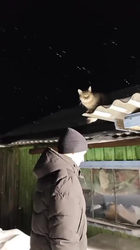 Пойдем домой