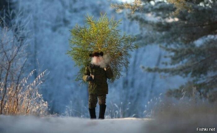 Солянка