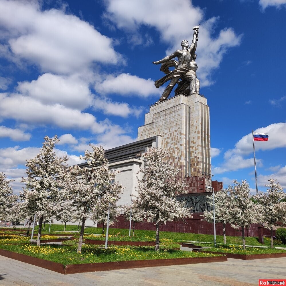 Солянка