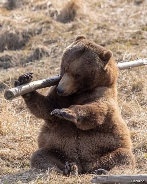 Мастер кунг-фу сейчас тебе покажет свой путь
