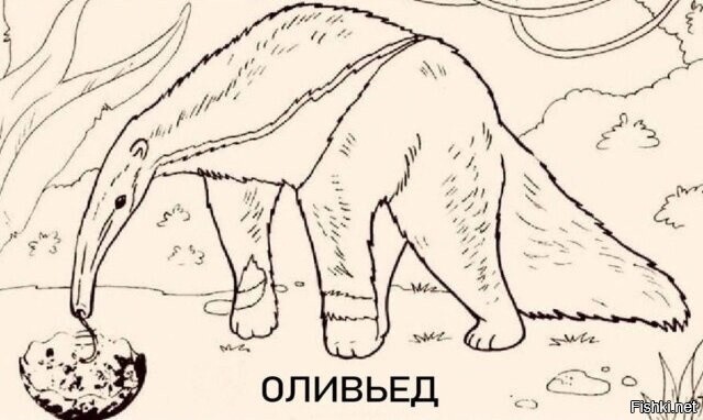 Солянка