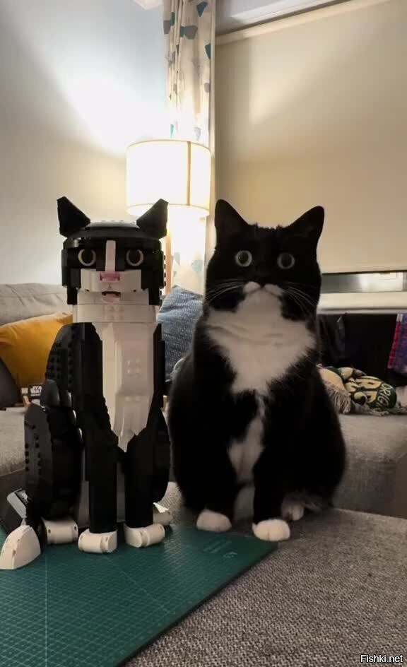 Доброе утро