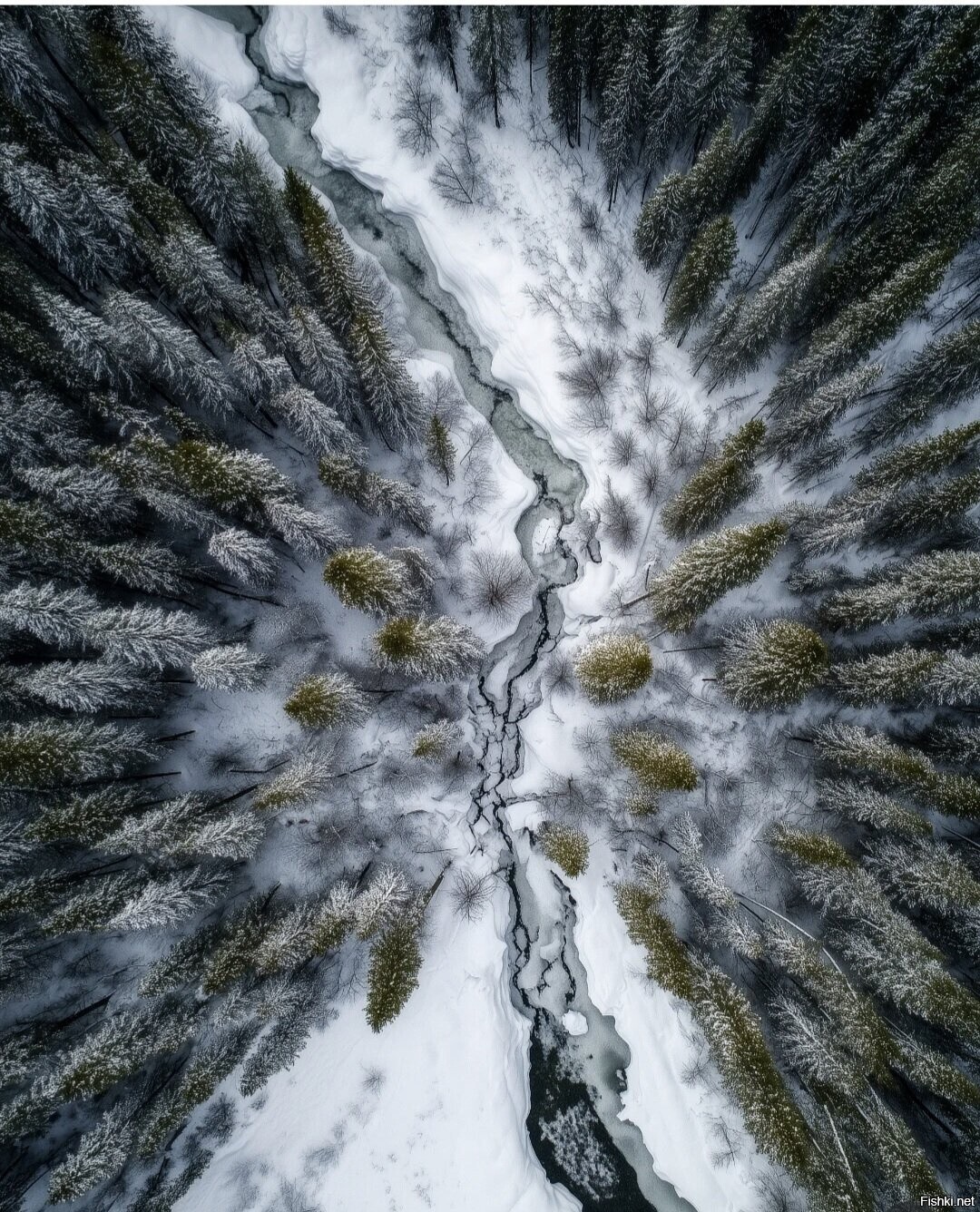 Солянка