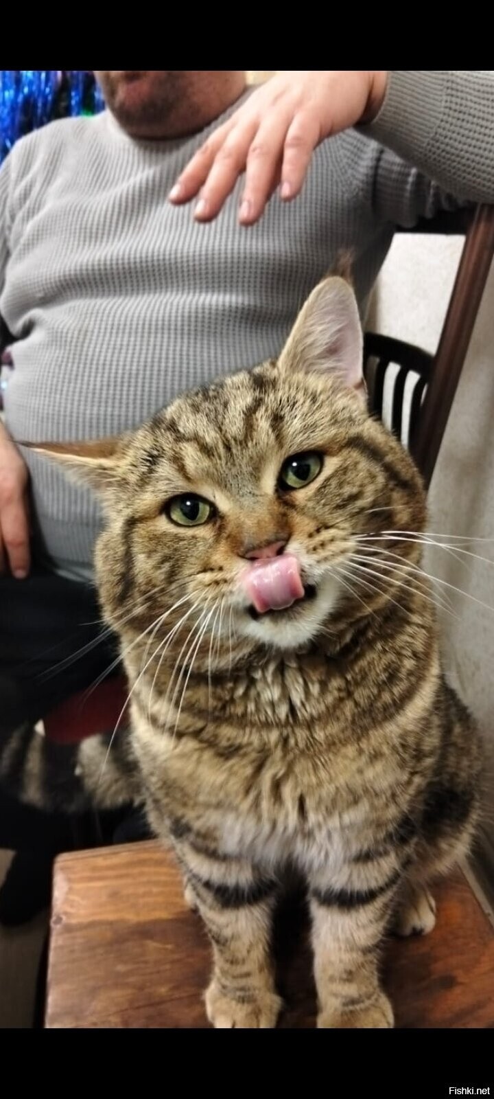 Солянка