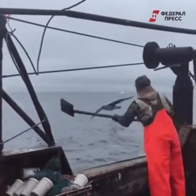 Птичку , жалко