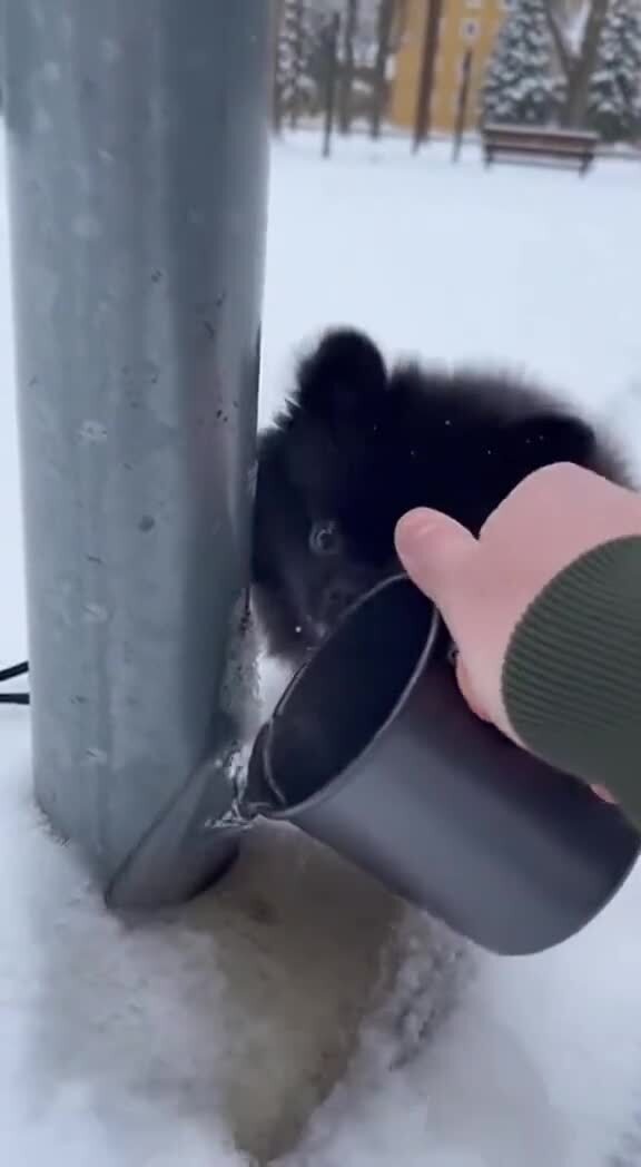 Солянка