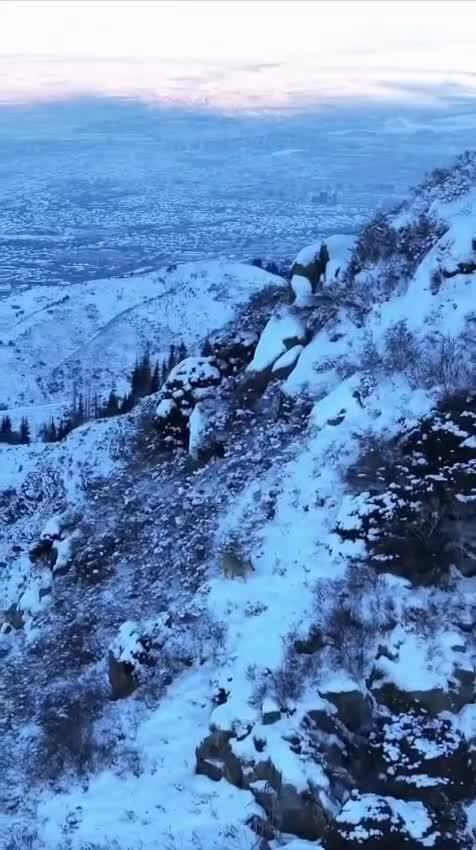 Алматинские горы