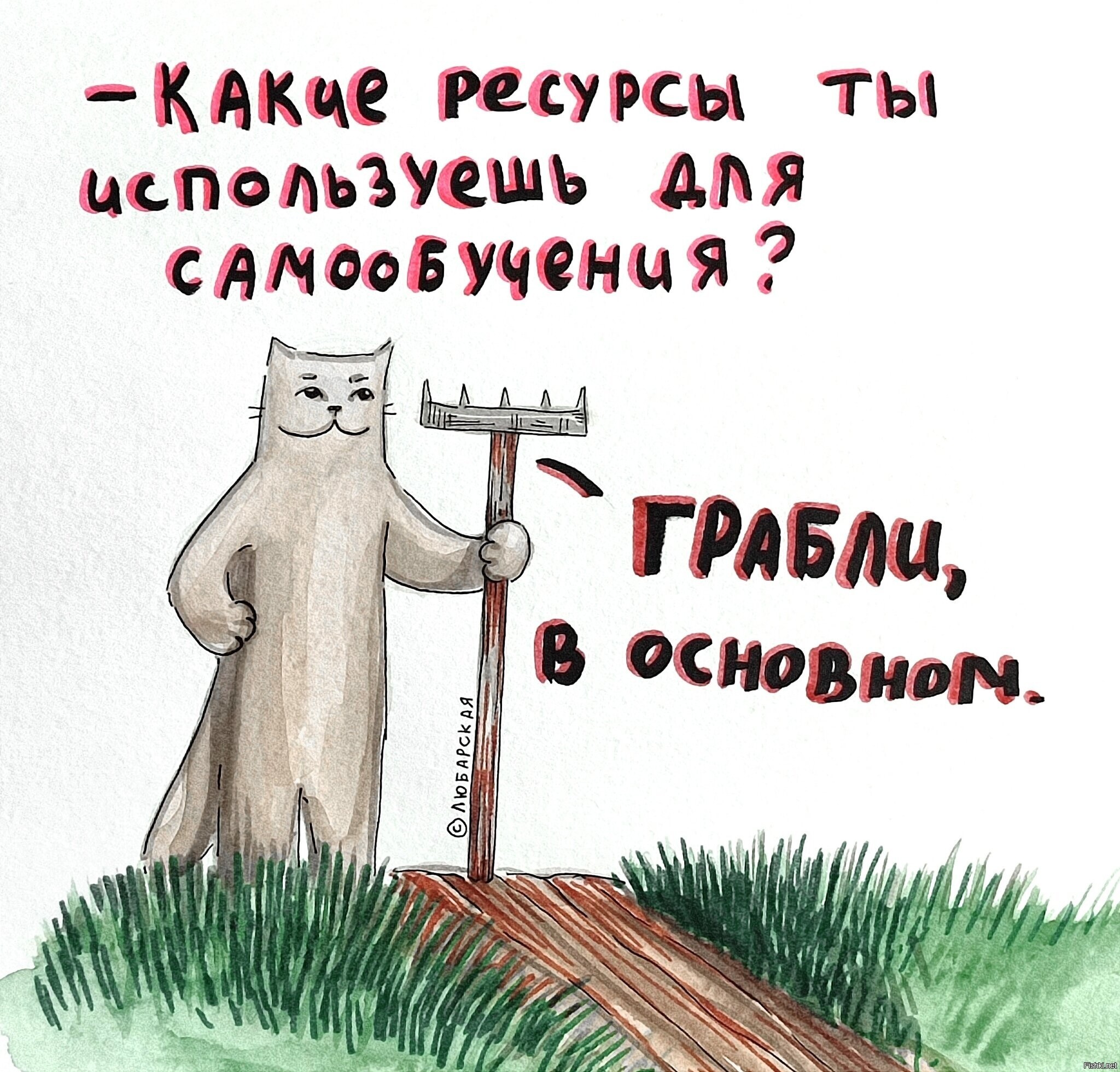Солянка
