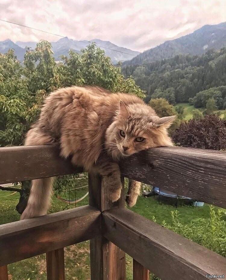 Вспоминая лето)