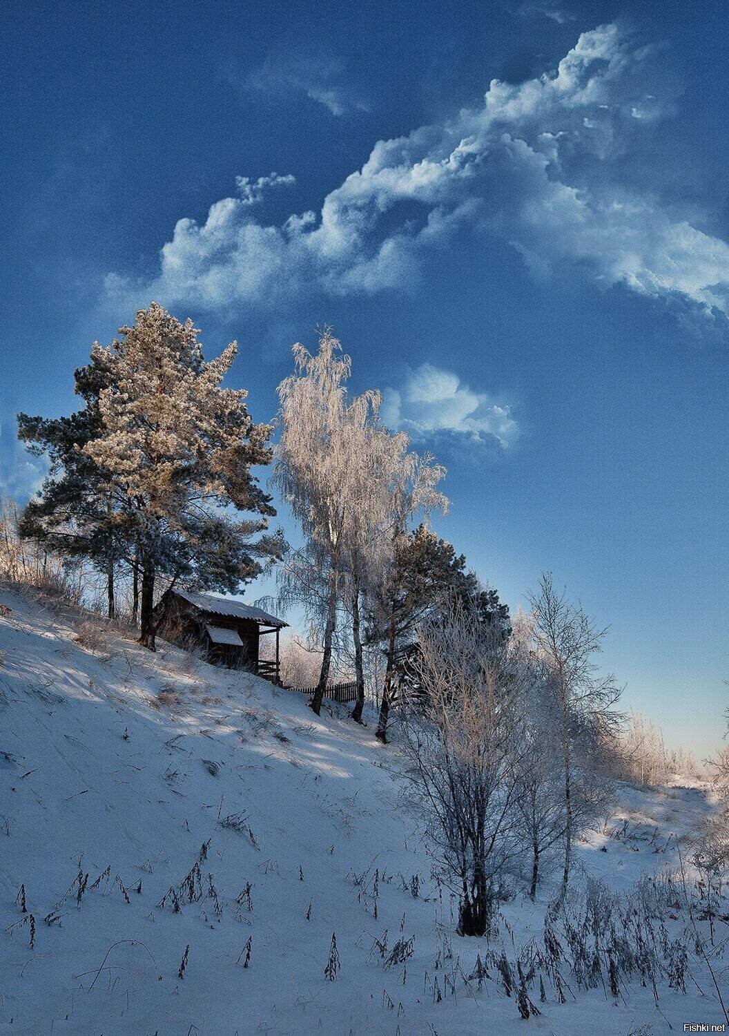 Солянка