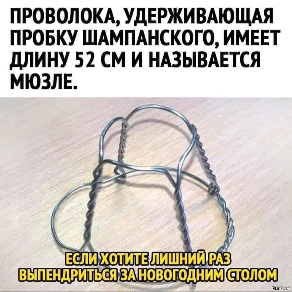 для сведения