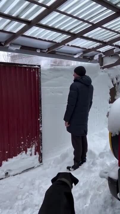 Солянка