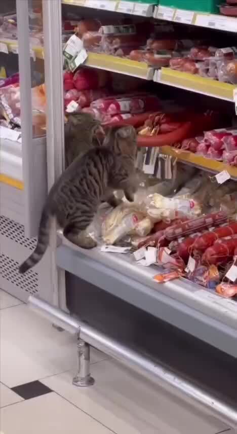 Воруют 