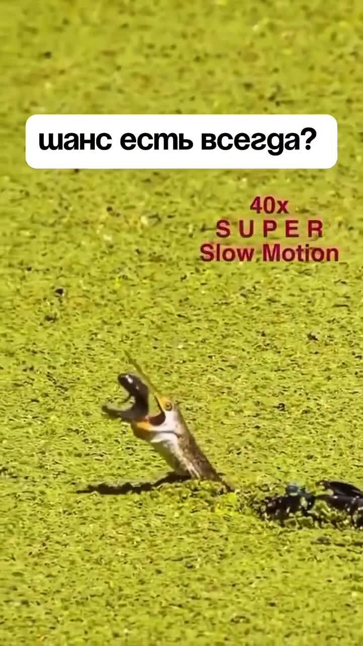 Напряжённое)