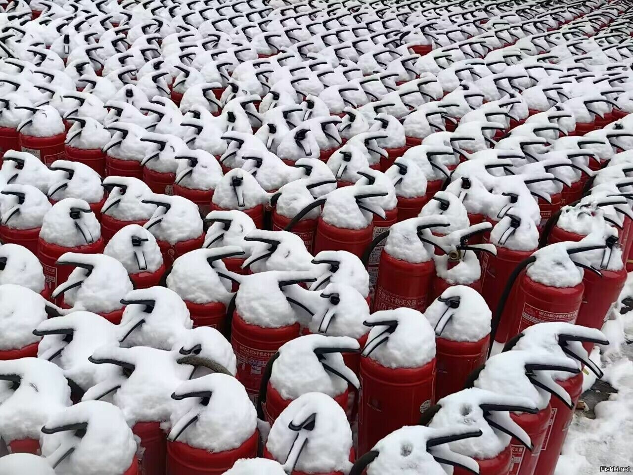 Солянка