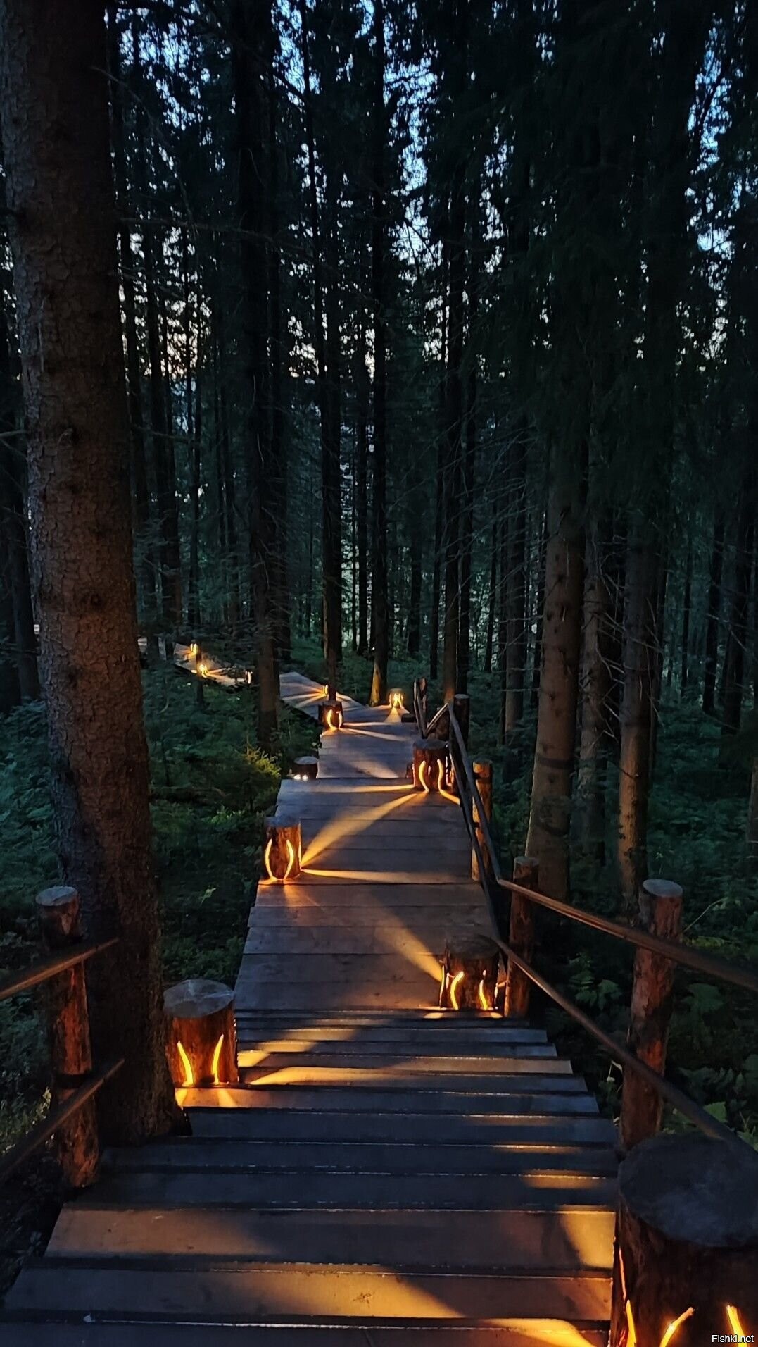 гора Пассонвуори,Сортавала,Карелия