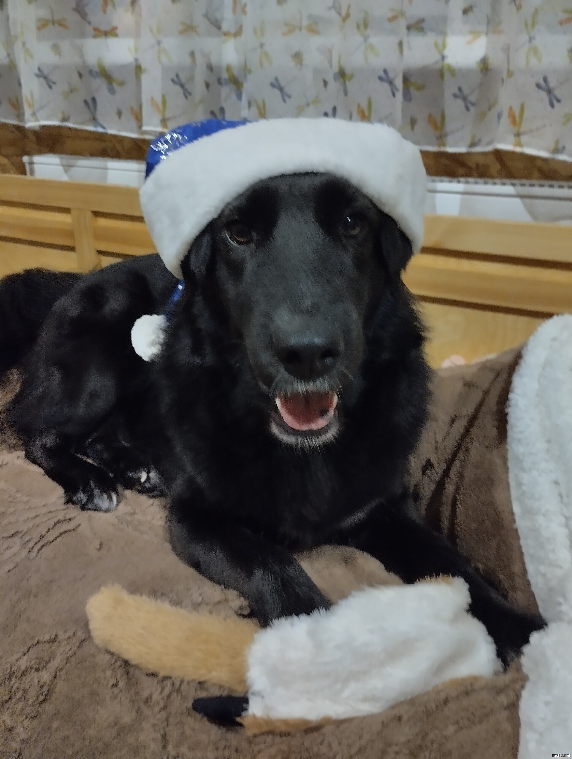 С наступающим новым годом