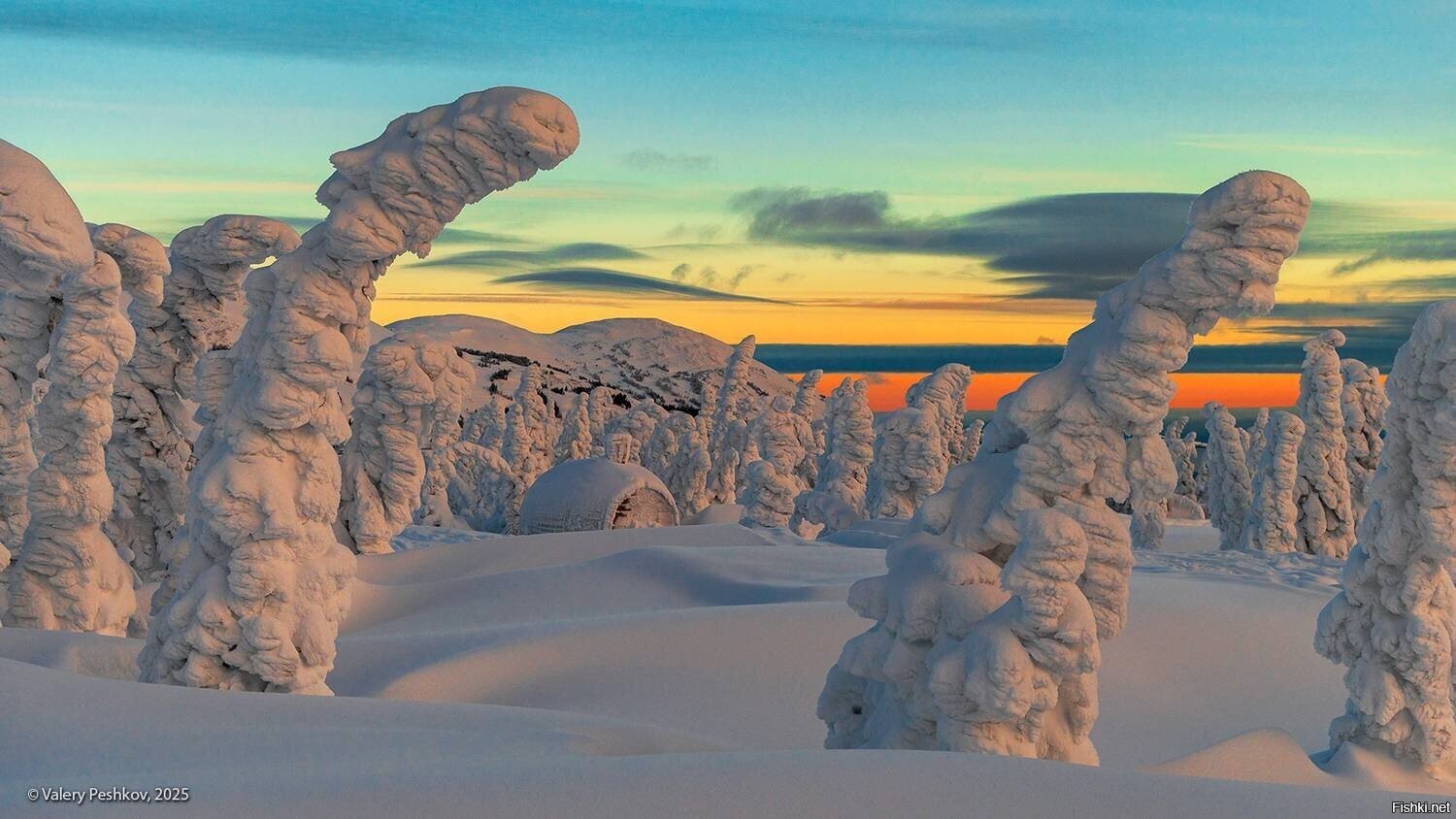 Солянка
