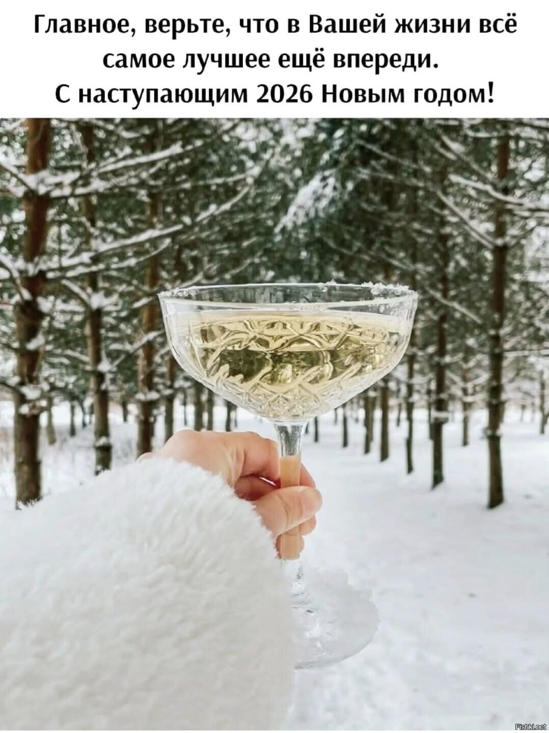 С наступающим Новым годом 