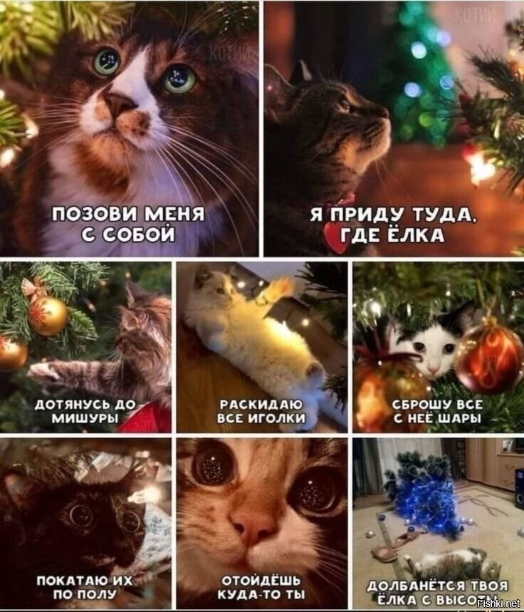 Ну с наступившим всех