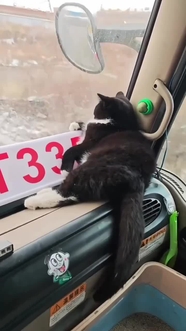 Аккуратнее, не дрова везёшь)