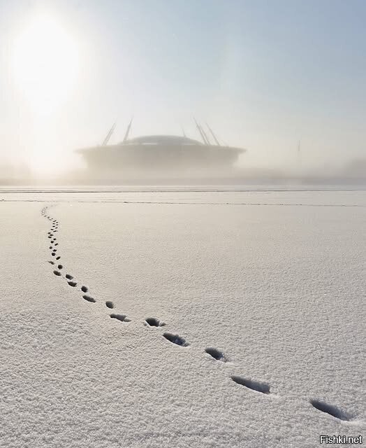 Старый год улетел