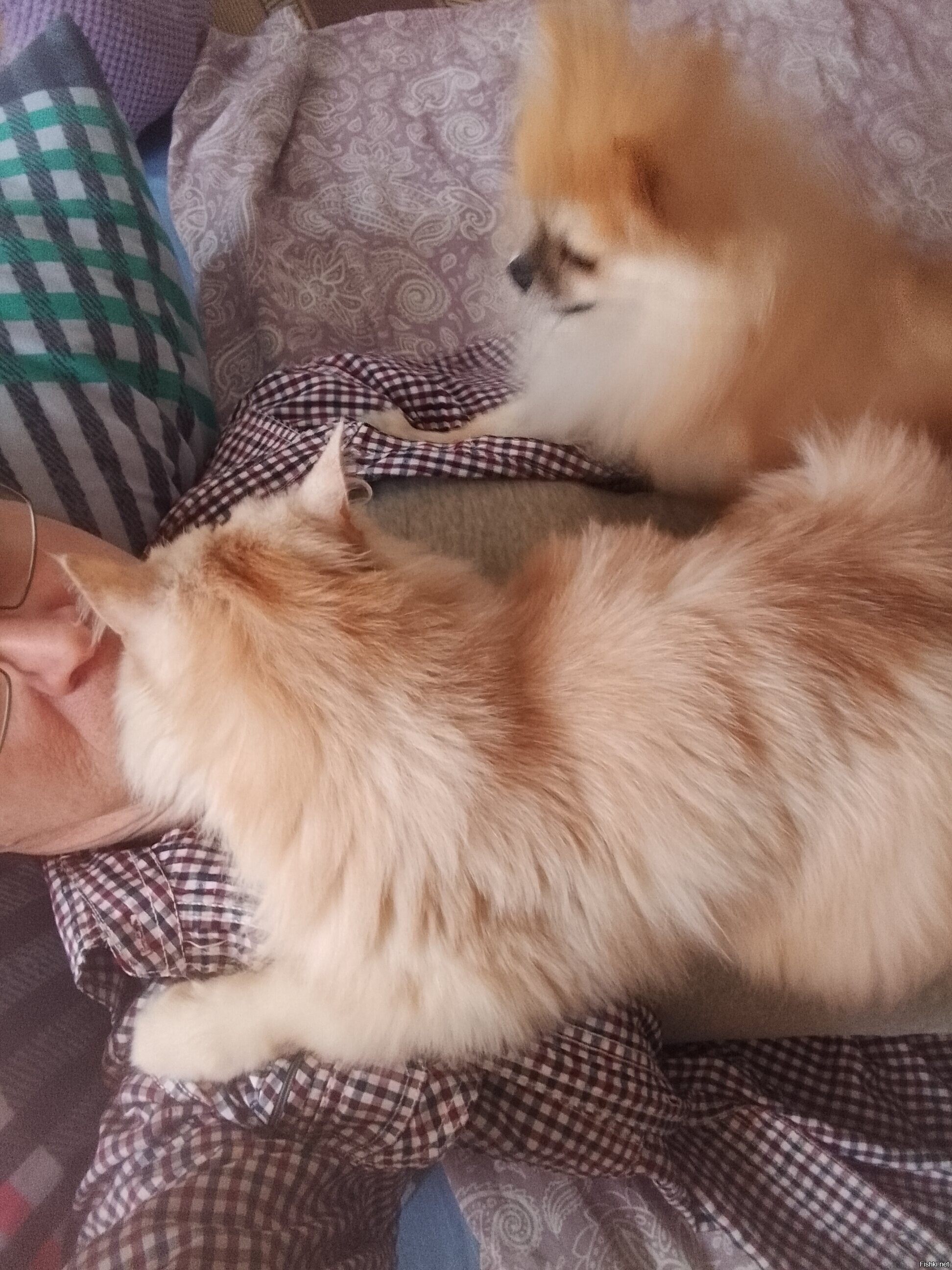 Доброго Новогоднего утречка
