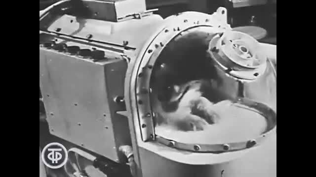 1 января 1968 года вышла первая программа " Время" , где была встреча с космо...