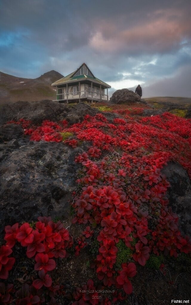 Домик вулканологов, Камчатка
