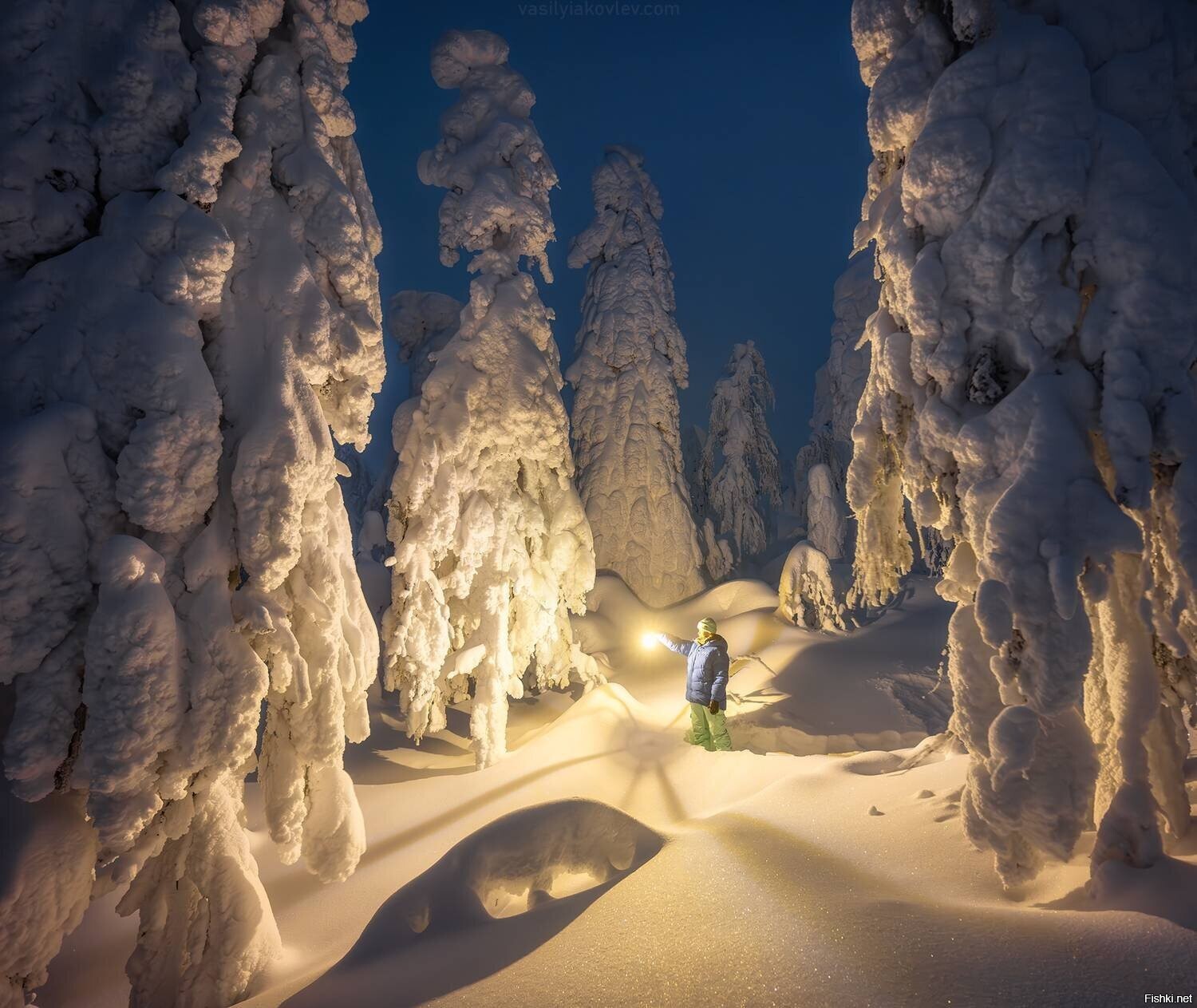 Солянка