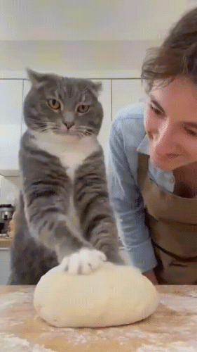 Просто гифки, всякие и&nbsp;разные