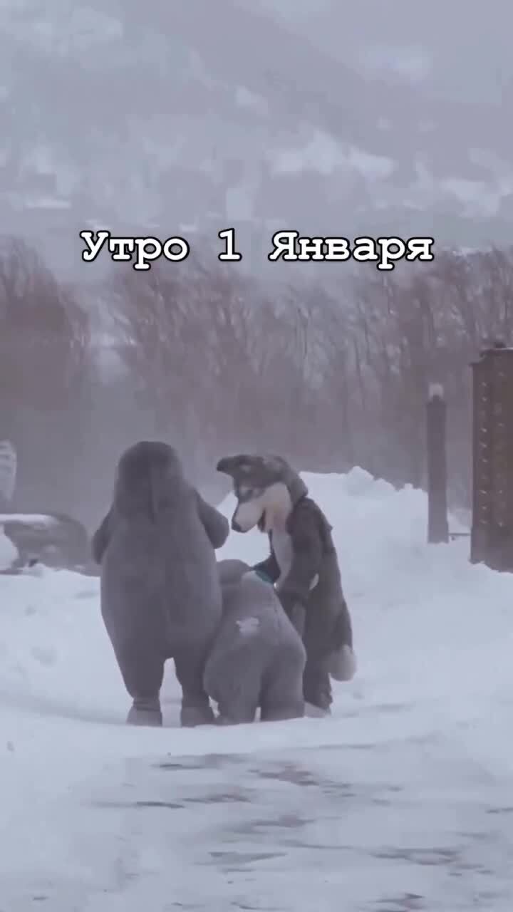 Солянка