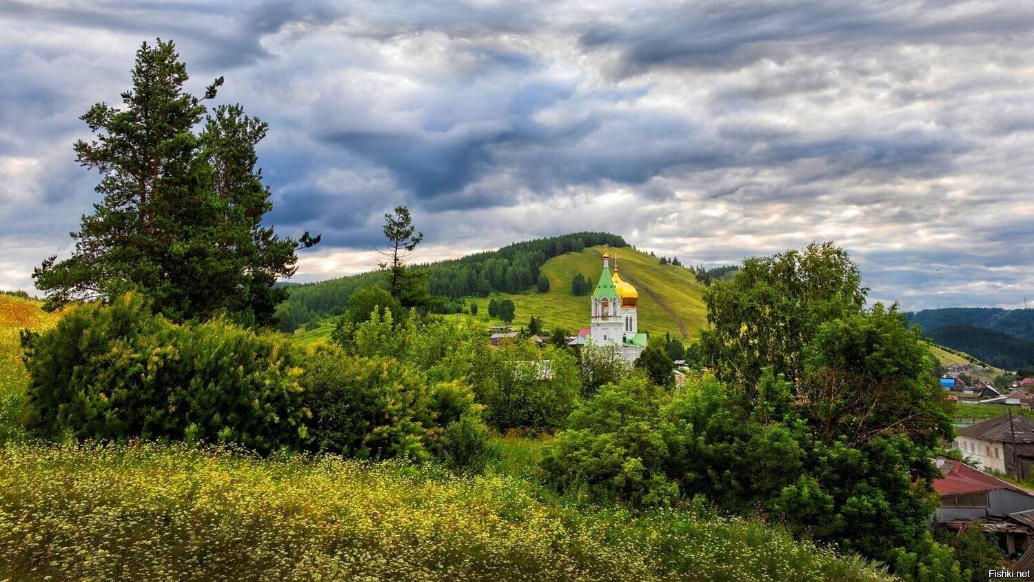 Солянка