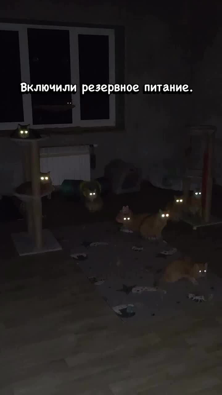 Котосторонний мир)