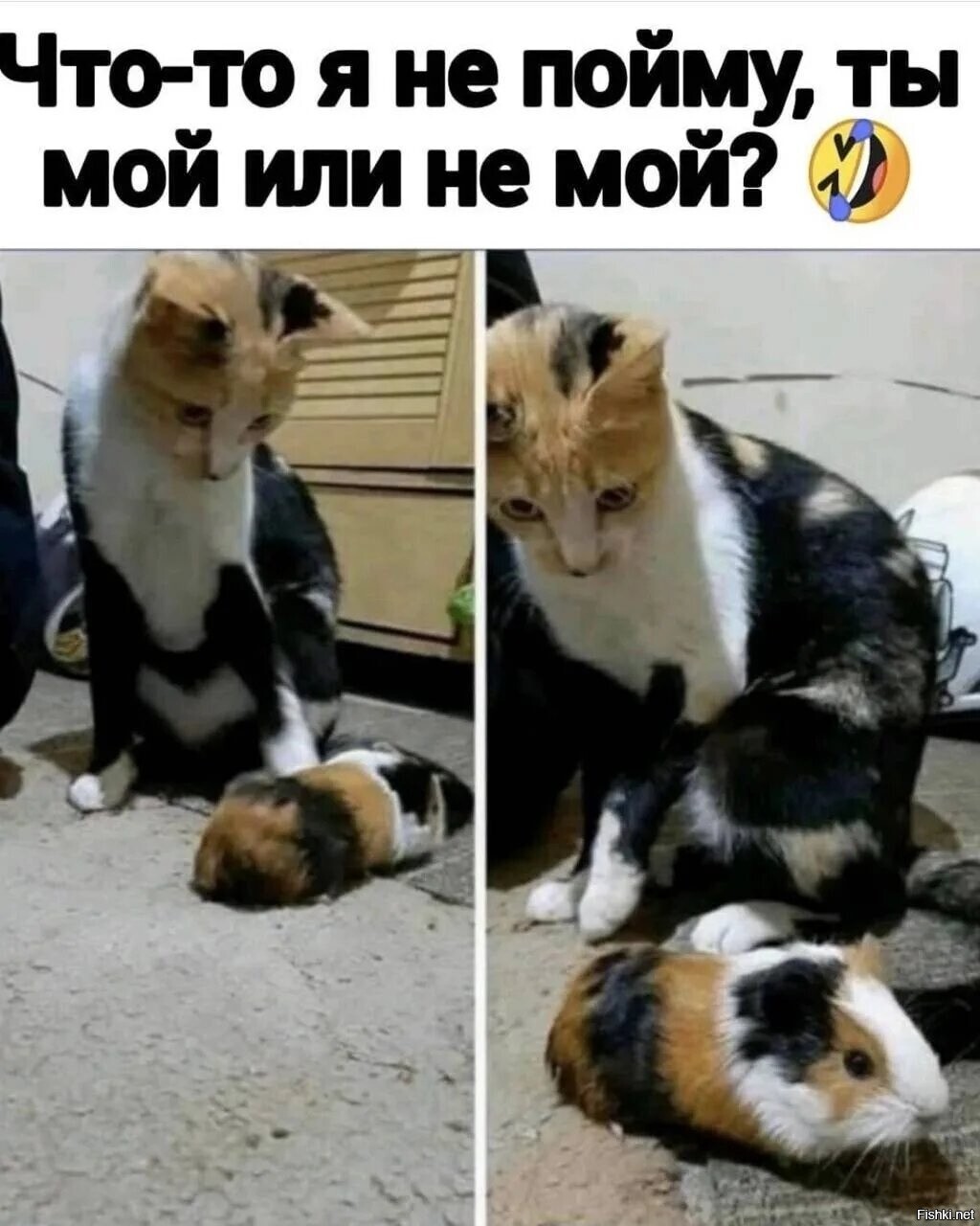 Солянка