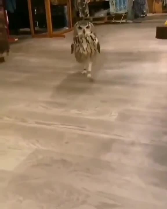 О, а что это вы тут делаете