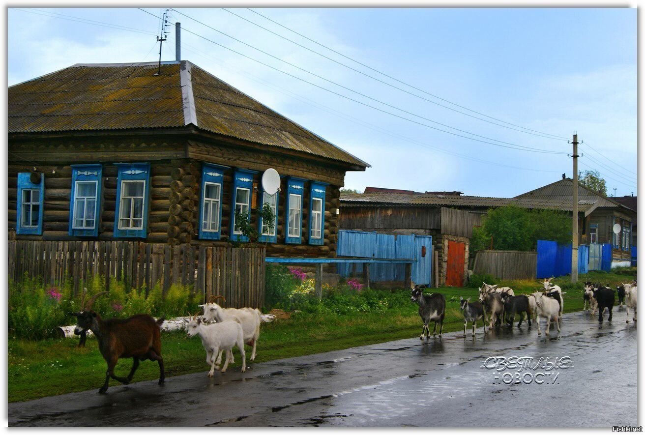 Солянка